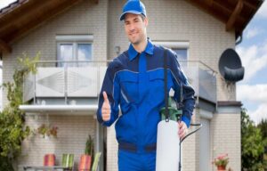 pest control Melbourne