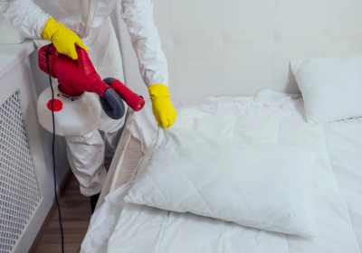 Five Tips to Control Bed Bug Infestations in Phoenix