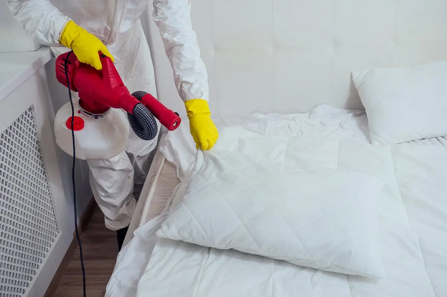 the best bed bug contro