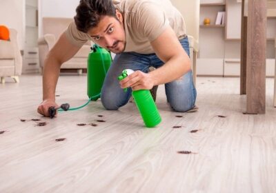 What Types of Commercial Businesses Are Prone to Pest Infestations?